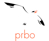 Pt. Reyes Bird Observatory