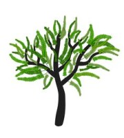 The Mesquite Tree Restaurant