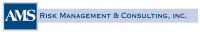 Ams risk management & consulting, inc.
