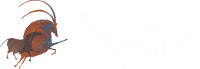 Animal art taxidermy