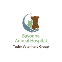 Animal clinic of bayonne