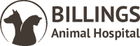 Animal clinic of billings