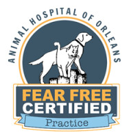 Animal hospital of orleans