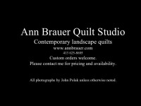 Ann brauer quilt studio