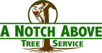 A notch above tree service