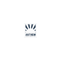 Anthem equity group, inc.