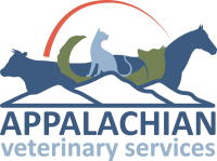 Appalachian veterinary services