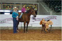 Apple creek stables inc