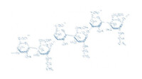 Applied glycan llc