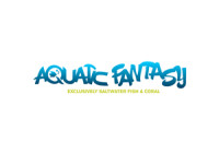 Aquatic fantasy
