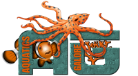 Aquatics galore