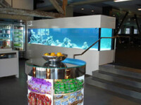 Aquatic visions inc