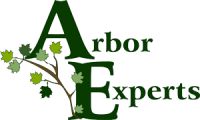 Arbor experts