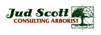 Jud scott consulting arborist llc