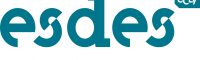 ESDES Conférence