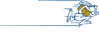 Asap executive courier service