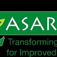 Asareca