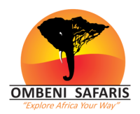 African Wildlife Safaris