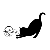 Asthmatic kitty records