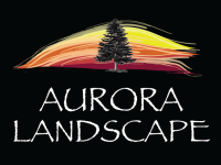 Aurora landscape