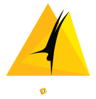 Authentic agility games