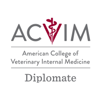 Animal internal medicine, mobile endoscopy