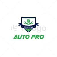 Auto pro network inc