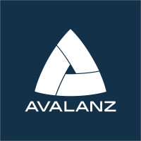 Corporativo avalanz