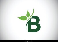B-ambiental