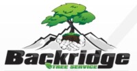 Backridge tree svc