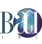Bai construction, inc.