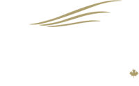 Bailey helicopters ltd.