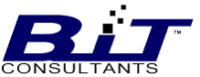 Bailey information technology consultants, llc