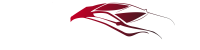 Bailey motors