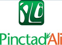 Pinctadali vietnam jsc