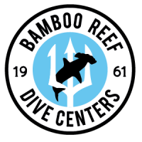 Bamboo reef enterprises