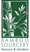 Bamboo sourcery