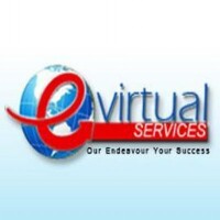 Baroness virtual services