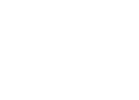 The barr group inc.