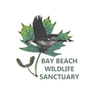 Bay beach wildlife sanctuary