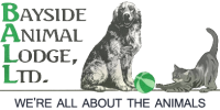 Bayside animal lodge