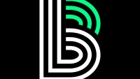 Big brothers big sisters of the bridge