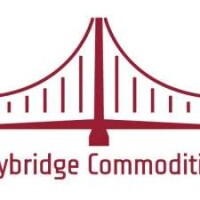 Baybridge commodities inc