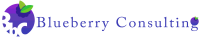 Blueberry consultants ltd