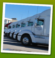 B. catalani, inc