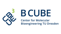 B cube, tu dresden