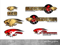 Beaver motorsports