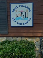 Best friends bed & biscuit