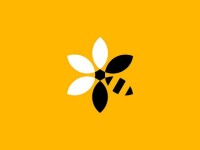 Bee seen design