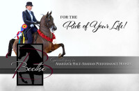Beethe arabians
